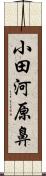 小田河原鼻 Scroll