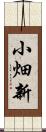 小畑新 Scroll