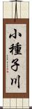 小種子川 Scroll