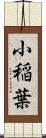 小稲葉 Scroll