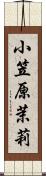 小笠原茉莉 Scroll