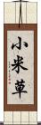 小米草 Scroll