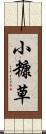 小糠草 Scroll