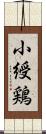 小綬鶏 Scroll