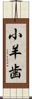 小羊歯 Scroll