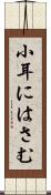 小耳にはさむ Scroll
