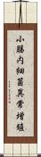 小腸内細菌異常増殖 Scroll