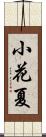 小花夏 Scroll