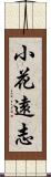 小花遠志 Scroll