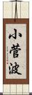 小菅波 Scroll