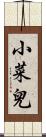 小菜兒 Scroll