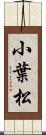 小葉松 Scroll