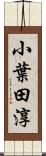 小葉田淳 Scroll