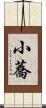 小蕎 Scroll