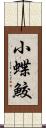 小蝶鮫 Scroll