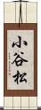 小谷松 Scroll