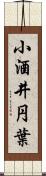 小酒井円葉 Scroll