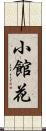 小館花 Scroll