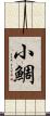 小鯛 Scroll