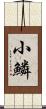 小鱗 Scroll