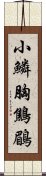 小鱗胸鷦鶥 Scroll