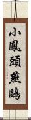 小鳳頭燕鷗 Scroll