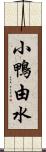 小鴨由水 Scroll