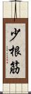 少根筋 Scroll