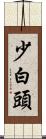 少白頭 Scroll