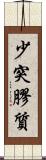 少突膠質 Scroll