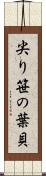 尖り笹の葉貝 Scroll