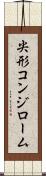 尖形コンジローム Scroll