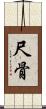 尺骨 Scroll