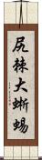 尻棘大蜥蜴 Scroll