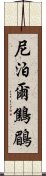 尼泊爾鷦鶥 Scroll