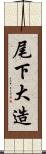 尾下大造 Scroll