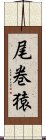 尾巻猿 Scroll