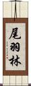 尾羽林 Scroll