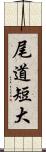 尾道短大 Scroll