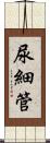 尿細管 Scroll