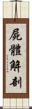 屍體解剖 Scroll