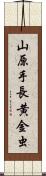 山原手長黄金虫 Scroll