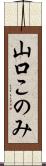 山口このみ Scroll