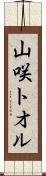 山咲トオル Scroll