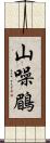 山噪鶥 Scroll