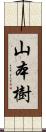 山本樹 Scroll