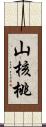 山核桃 Scroll