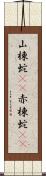 山棟蛇(rK) Scroll