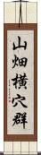 山畑横穴群 Scroll