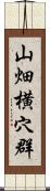 山畑横穴群 Scroll